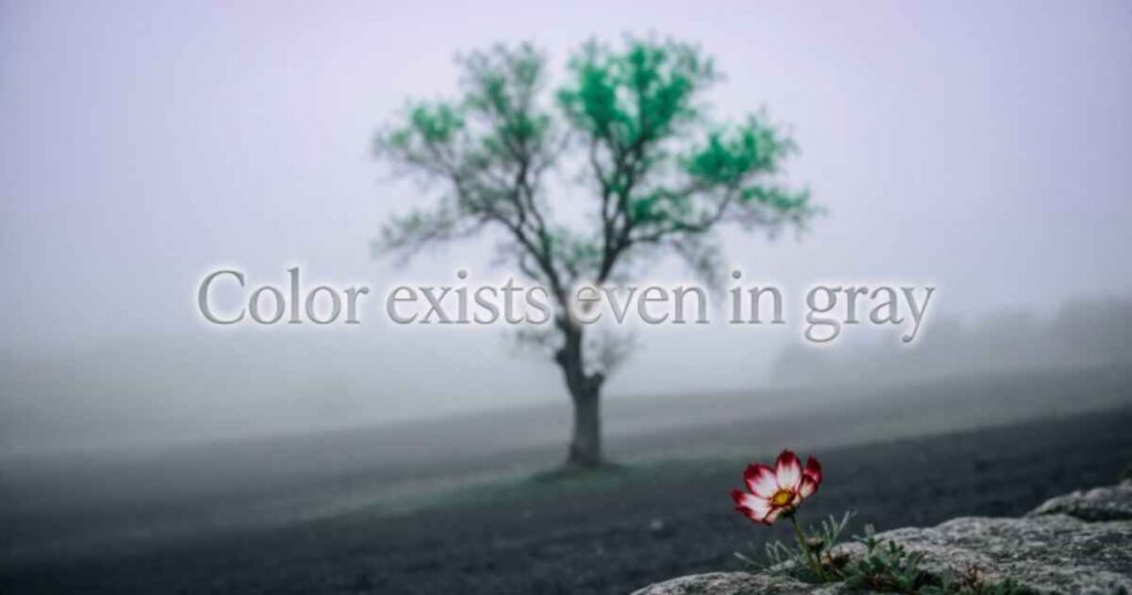 Quotes About Finding Color In A Dull World
