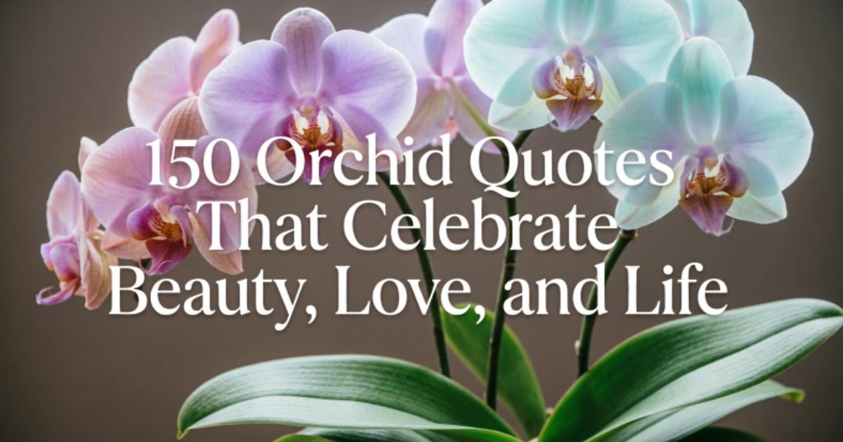 150 Orchid Quotes That Celebrate Beauty, Love, and Life